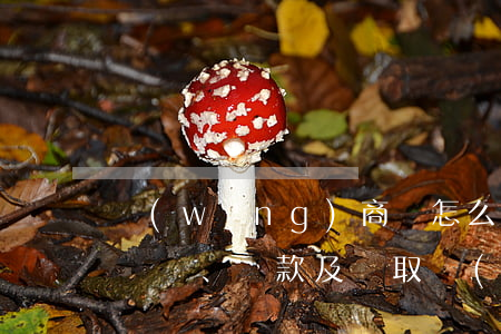 網(wǎng)商貸怎么弄？如何申請、還款及獲取結(jié)清憑證？全攻略！